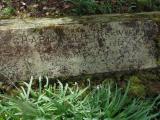 image of grave number 479562
